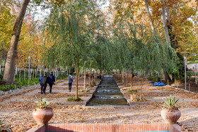 طبیعت پاییزی سرچشمه محلات