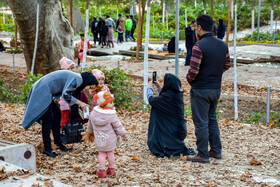 طبیعت پاییزی سرچشمه محلات