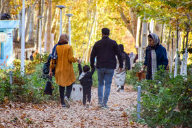 طبیعت پاییزی سرچشمه محلات