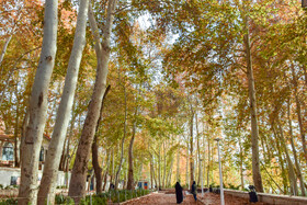 طبیعت پاییزی سرچشمه محلات