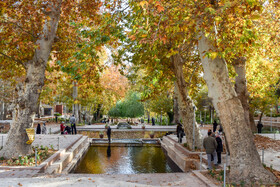 طبیعت پاییزی سرچشمه محلات