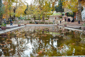 طبیعت پاییزی سرچشمه محلات
