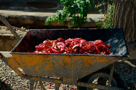 رب‌گیری انار - ساوه