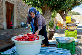 رب‌گیری انار - ساوه