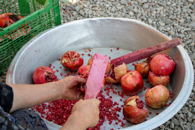 رب‌گیری انار - ساوه