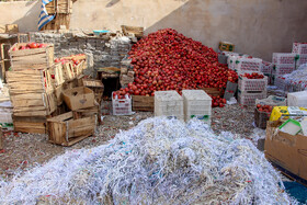 رب‌گیری انار - ساوه