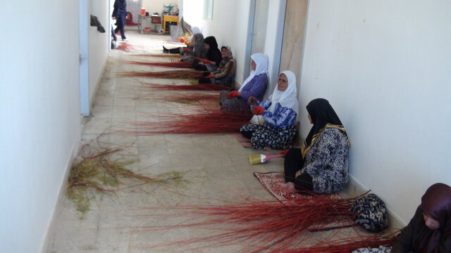 اشتغال بانوان روستای بزیجان در بسته بندی بید قرمز صادراتی