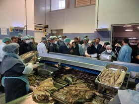 رفع مشکل ضمانت تسهیلات برای بانوان/ به دنبال مشاغل تشریفاتی برای زنان نیستیم