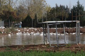 راه‌اندازی دهکده اقتصاد مقاومتی در مازندران