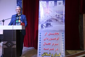 مهمترین مولفه در بخش ورزش کارگران، توسعه ورزش همگانی است