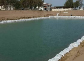 رها سازی بیش از  ۱۲ هزار قطعه ماهیان مولد سفید در استخرهای پره مازندران