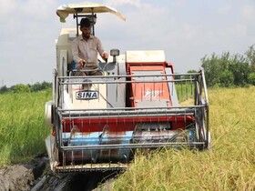 خسارت ۵ هزار واحد تولیدی کشاورزی مازندران در ایام کرونا