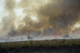 میانکاله در آتش