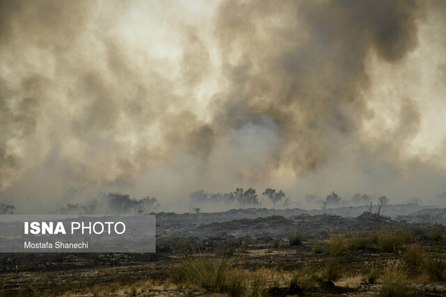 مهارآتش سوزی در پناهگاه حیات وحش میانکاله 