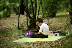 جنگلهای زرین آباد ساری یکی از مقاصد اصلی مسافران طبیعت دوست به مازندران است