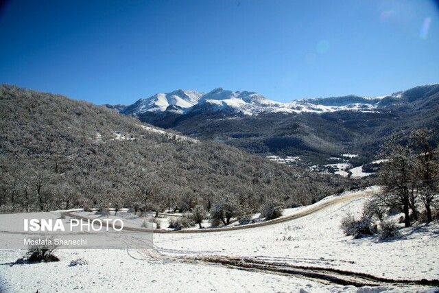 طبیعت زیبای برفی چهاردانگه ساری