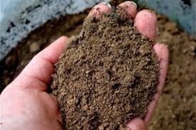 خاک مازندران آلوده نیست