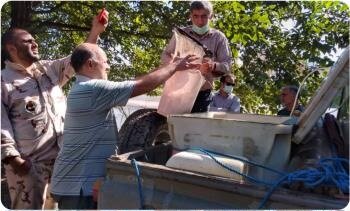 آغاز رهاسازی بچه ماهی آزاد دریای خزر در مازندران