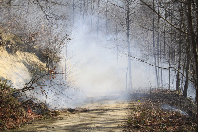 عکس تزیینی است ۱۰۷ هکتار از جنگل های غرب مازندران طعمه حریق شد
