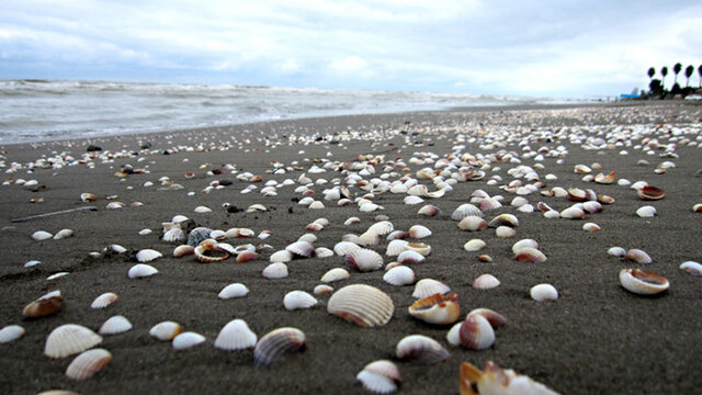 شهری کوچک در غرب مازندران که هرگز نمی خوابد