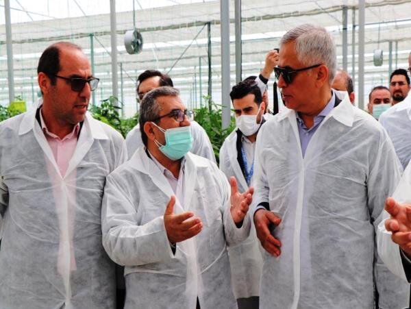تشریح فرصتهای اقتصادی مازندران برای سفرای 9 کشور عضو اکو