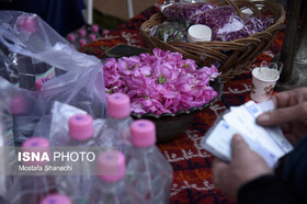 اعلام آمادگی جهاد دانشگاهی برای ایجاد پایلوت فرآوری گل‌محمدی و گیاهان دارویی