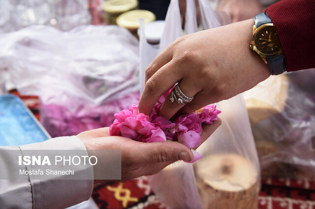 پنجمین جشنواره گل‌محمدی و گیاهان دارویی در دودانگه ساری