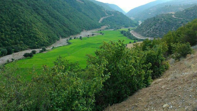 گردشگری نکا؛ عصاره طبیعت و تاریخ - ایسنا