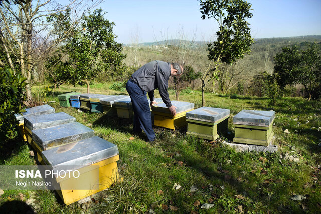 کندوسازی در بخش بندپی شرقی بابل