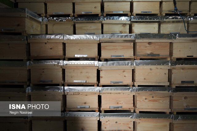 کندوسازی در بخش بندپی شرقی بابل