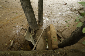 آبگرفتگی منازل روستایی و واحدهای دامپروری و گلخانه‌ها در ایذه