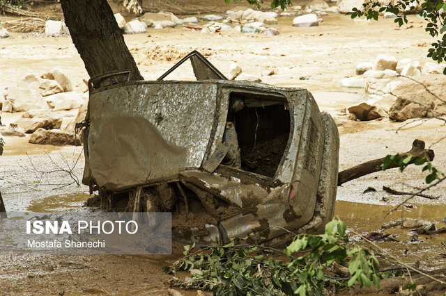 سیل بیخیالی!
