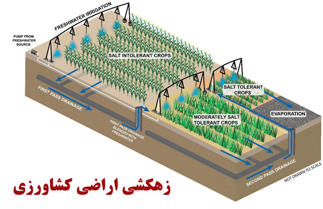 زهکشی اراضی شالیزاری پیشنیاز توسعه کشت زمستانه در مازندران