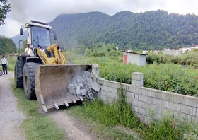 بازگشت ۲۲۹ هکتار اراضی کشاورزی مازندران به چرخه تولید طی یکسال گذشته