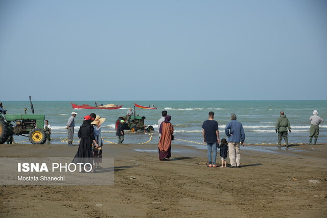 اکوتوریسم؛ راه نجات مازندران از چرخه تخریب اراضی کشاورزی