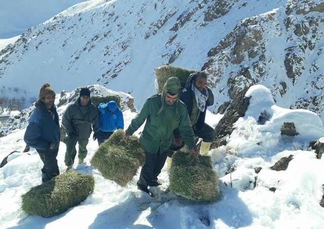 گزارشی مبنی بر تعارض وحوش به روستاها در فصل سرما ثبت نشده است