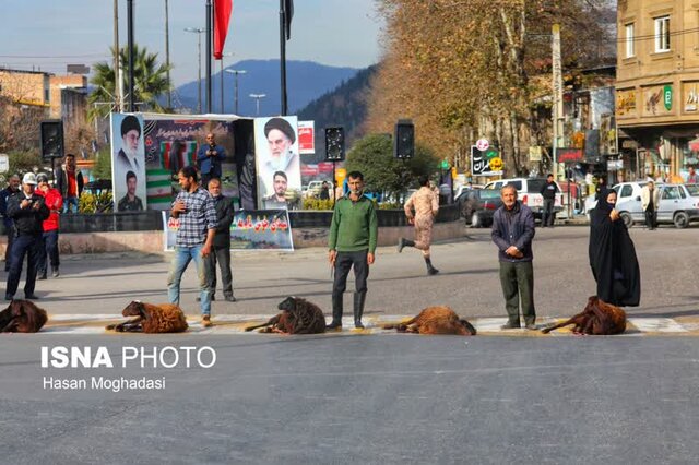 تشییع 14 آلاله زهرایی بر روی دستان مردم شهید پرور دیار علویان