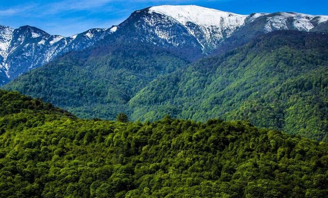 ضرورت اجرای طرح مدیریت پایدار برای جنگلهای هیرکانی