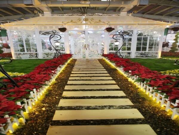 گذر از گردنه ورشکستگی با تولید گلهای کلاسیک و نوین