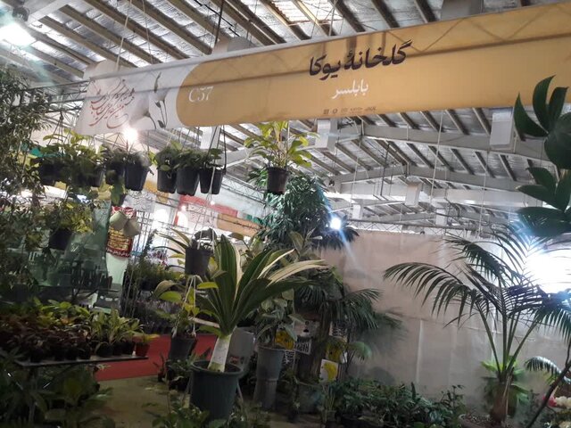 گذر از گردنه ورشکستگی با تولید گلهای کلاسیک و نوین