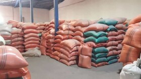 کشف ۵۹ تن برنج احتکار شده در " زاهدان "