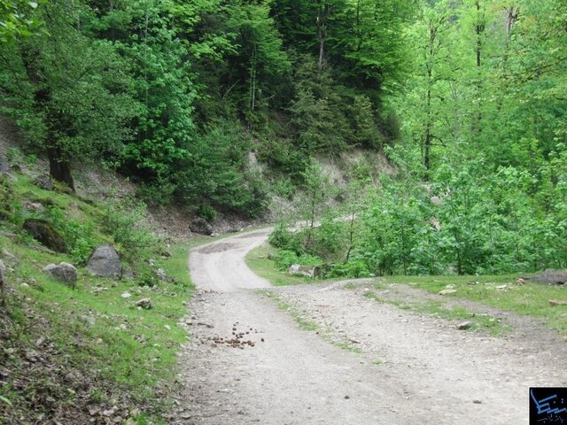 اگر میترسید به آبشار «تودارک» نروید!