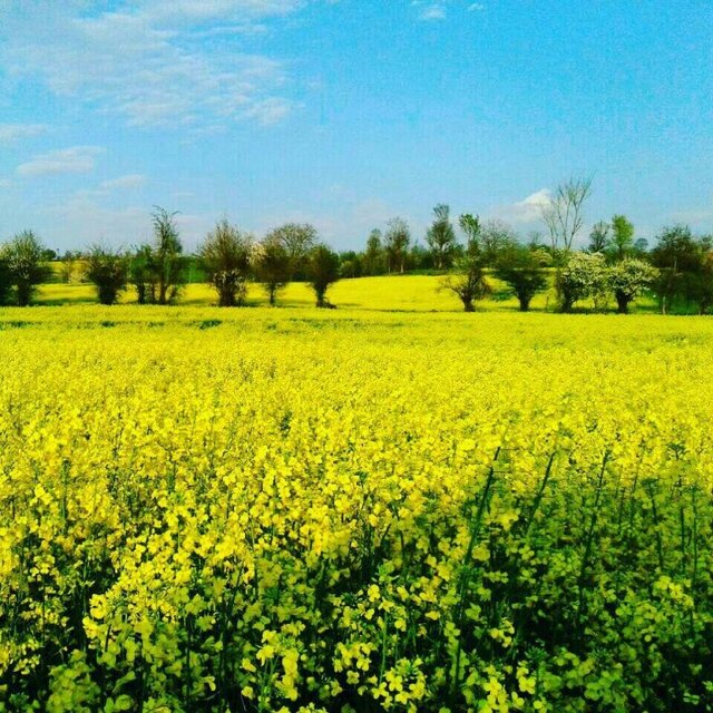 نکا سرزمین اقوام و آئینها