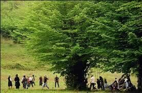 «سیزده بدر»، از جشن طبیعت تا چالشهای زیستمحیطی