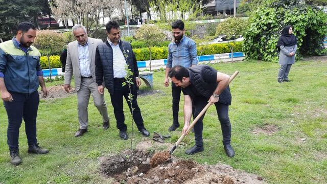 طرح "کاشت نهال، میراث ماندگار" درآمل اجرایی شد