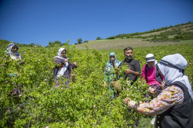 پرستاری که دستانش بوی گلاب می‌دهد