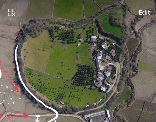 کشت برنج در مازندران قدمت سه هزار ساله پیدا کرد/ الههای با دستهای گشوده