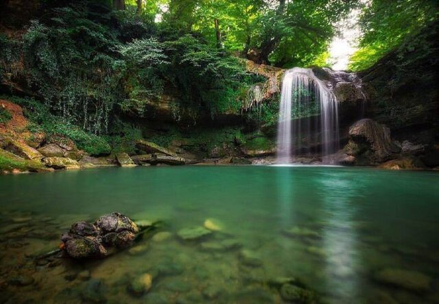 سفر به قلب جنگلهای هیرکانی