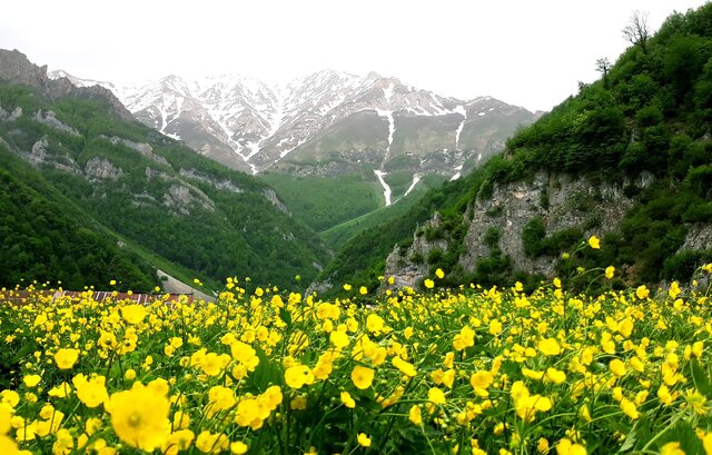 گردشگری مازندران محرک اقتصاد ایران می‌شود اگر...!