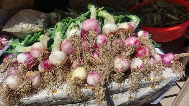 برپایی دو جشنواره با طعم متفاوت در ییلاقات مازندران